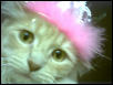 Queen Bobo