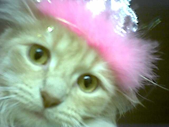 Queen Bobo