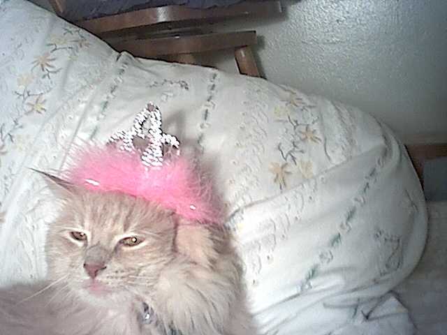 Queen Bobo I relaxed