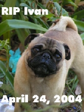 RIP Ivan