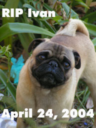 RIP Ivan