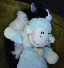 Frodo and friend