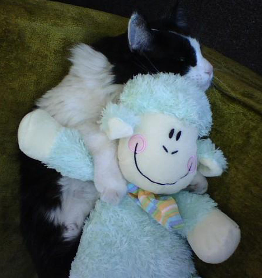 Frodo and friend