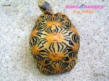 Woooww!!!