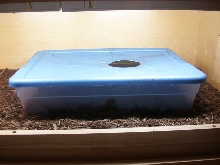 INDIGO HIDE BOX
