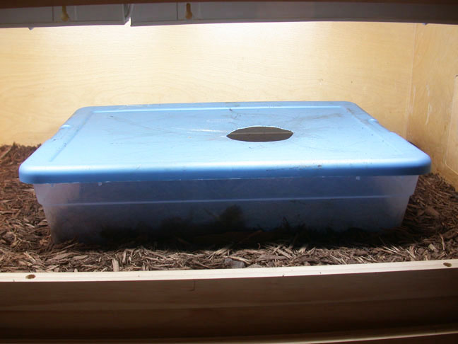 INDIGO HIDE BOX