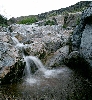 box canyon Arizona, rainy season