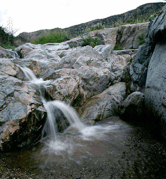 box canyon Arizona, rainy season