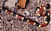 Sonoran Coral Snake with dinner guest, AZ