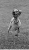 Princess Lucy