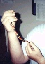 Coral Snake