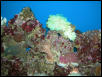 Saltwater Photos