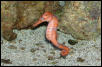 Saltwater Photos