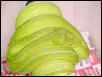 gtpcloseup