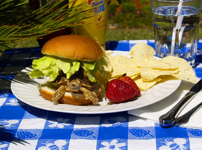 Jack Burger