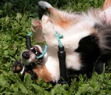 Ellie with her new toy