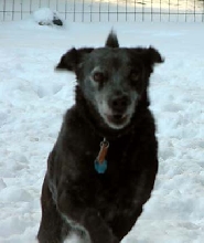 Best photo of Xena ever
