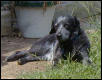 Xena