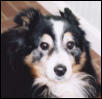 Clancy -- 6/6/89-2/26/03