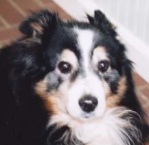 Clancy -- 6/6/89-2/26/03