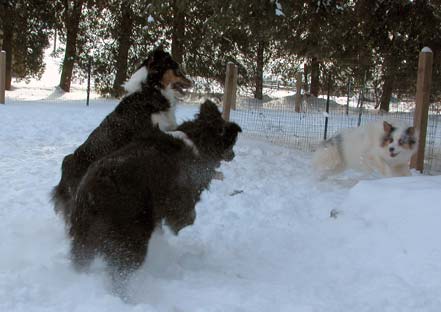 On the count of three we jump her...