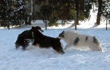 TAG! You're it!