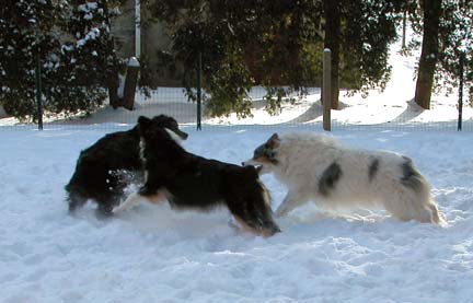 TAG! You're it!