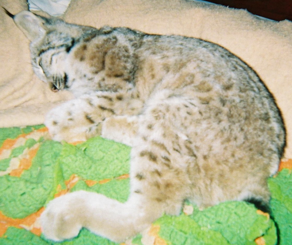 Baby Ta sleeping