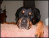 Charlie