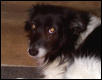 My Patchey :)