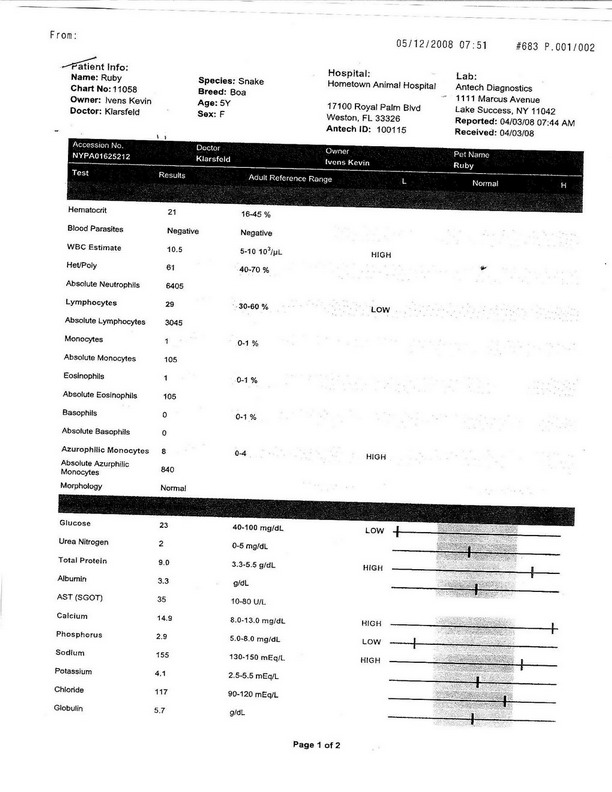 Blood work report