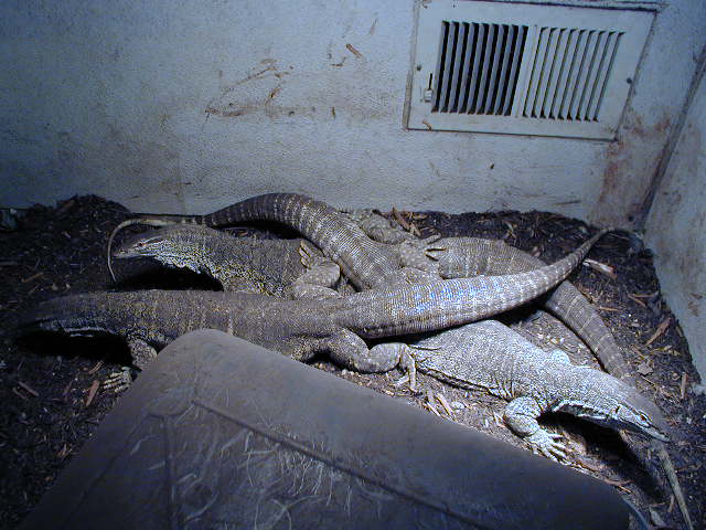 Group Photo