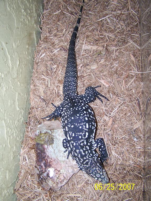 male 1