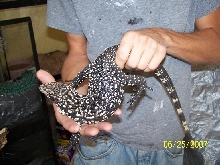 male2