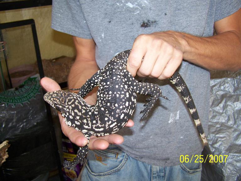 male2