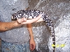 male3