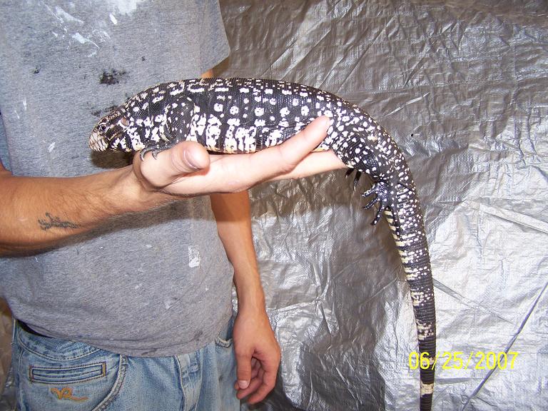 male3