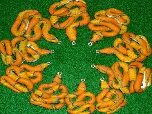 Circle of corns