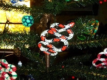 Christmas tree Snake Ornament