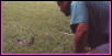 App 01