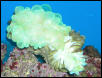 Saltwater Photos