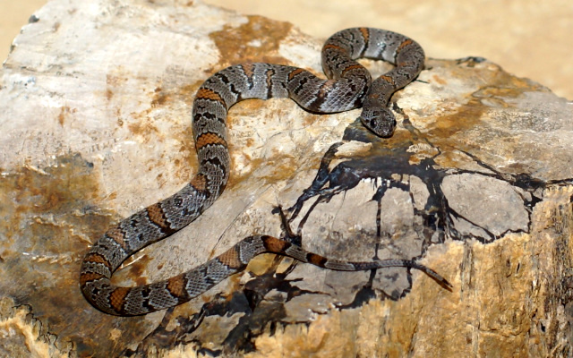 F002