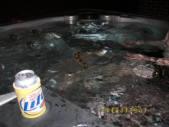 mmm... beer