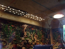 Lights