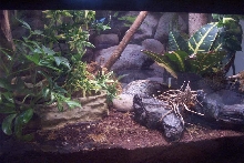 Cage 3