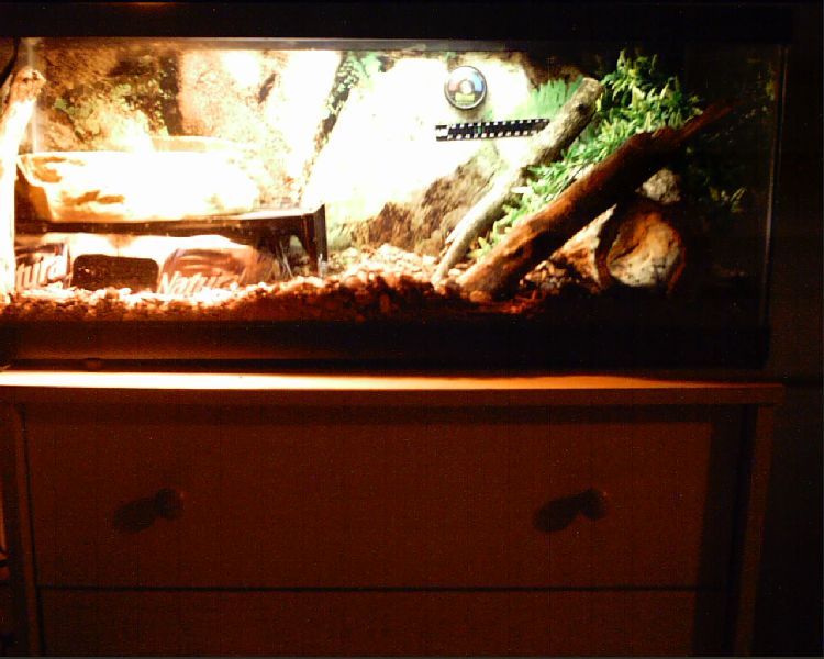 Snake House