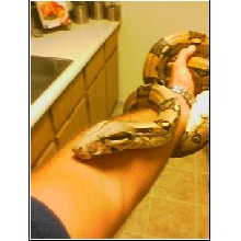 My new boy.