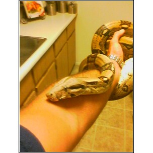 My new boy.