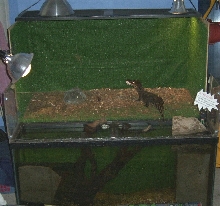 Smoothfront Enclosure