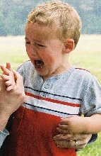 bit by a box turtle